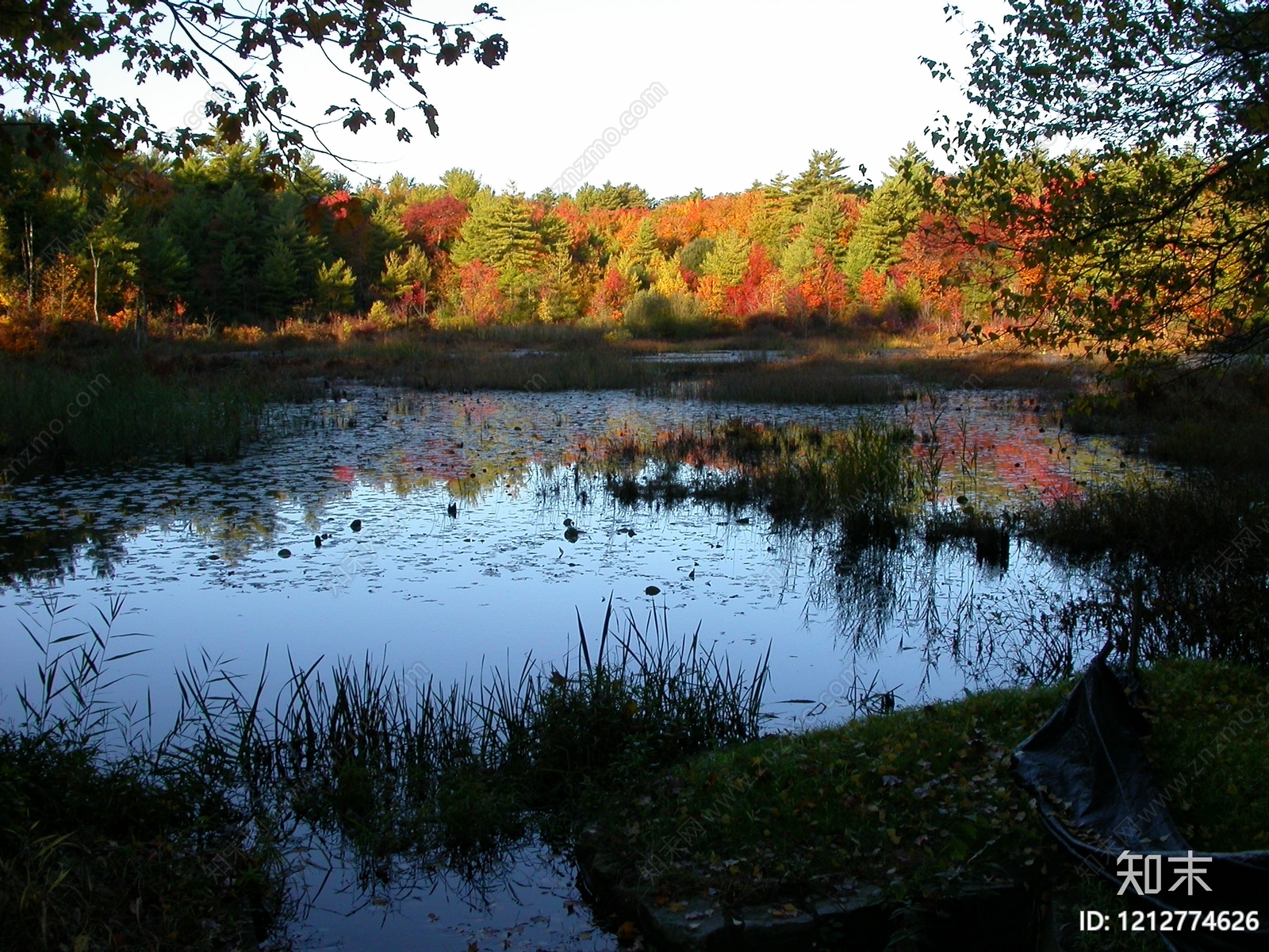 其他水面贴图下载【ID:1212774626】