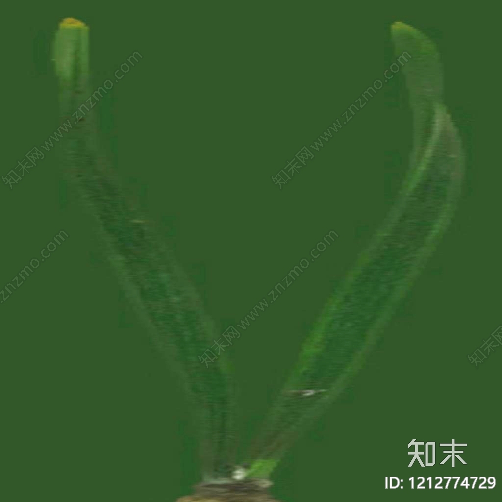 叶片纹理贴图下载【ID:1212774729】