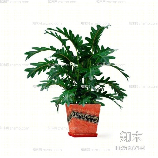 绿色盆栽3D模型下载【ID:31977184】