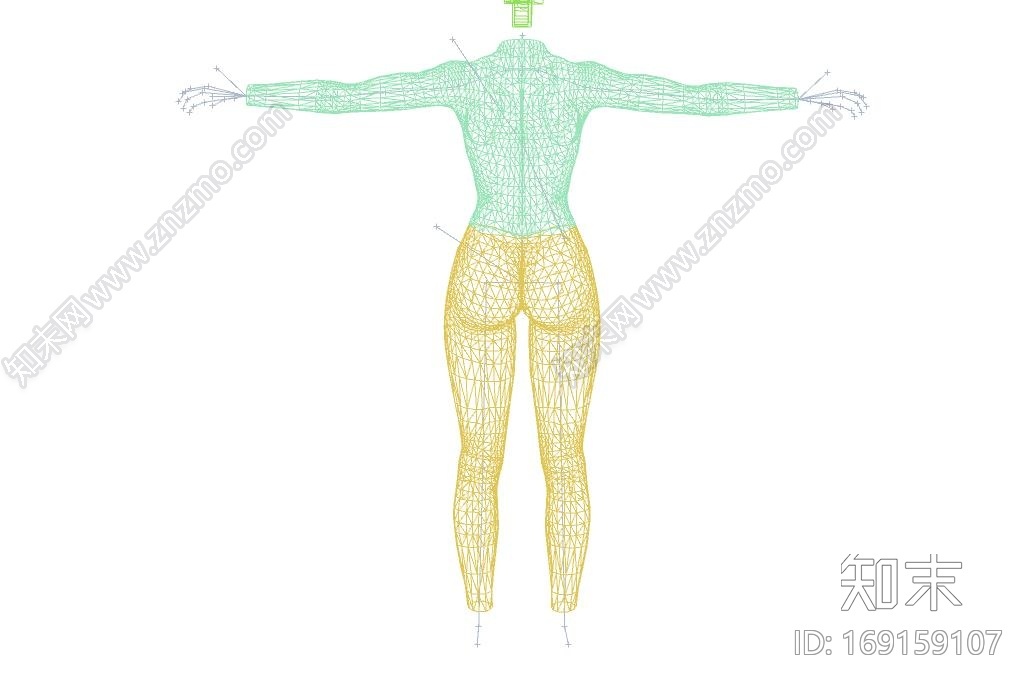 人体骨骼CG模型下载【ID:169159107】