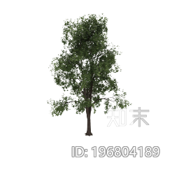 植被下载【ID:196804189】