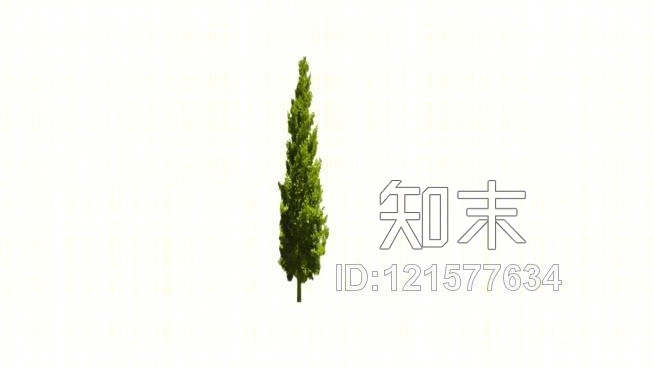 大树SU模型下载【ID:121577634】