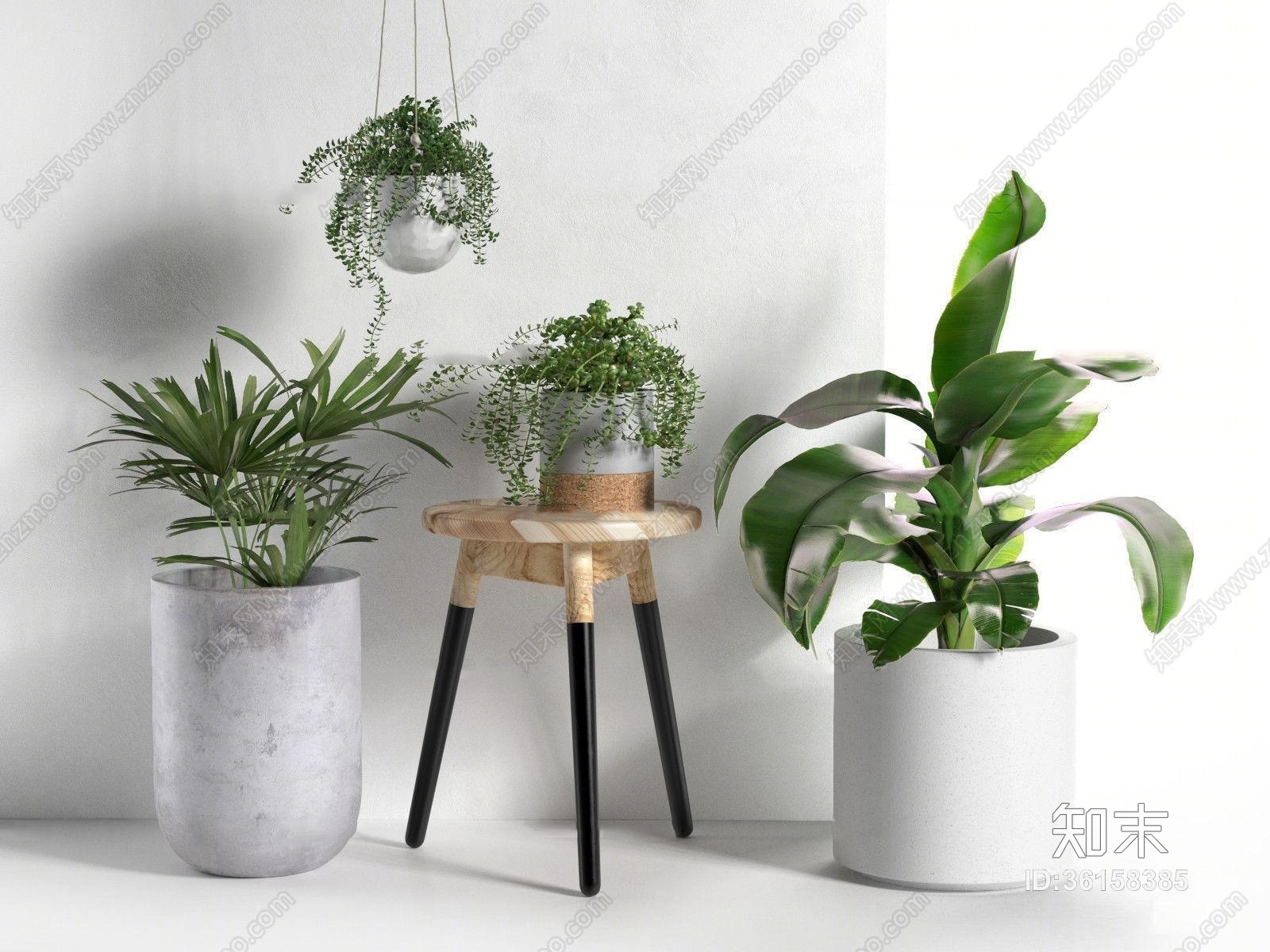 现代绿帝王佛珠吊兰盆栽组合3D模型下载【ID:36158385】