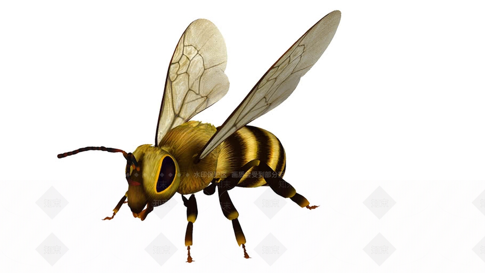 BeesSU模型下载【ID:1162968247】