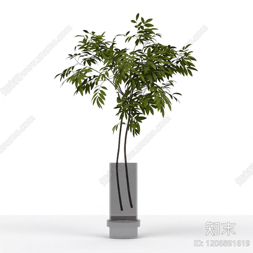 盆栽植物带花盆3D模型下载【ID:1206891619】
