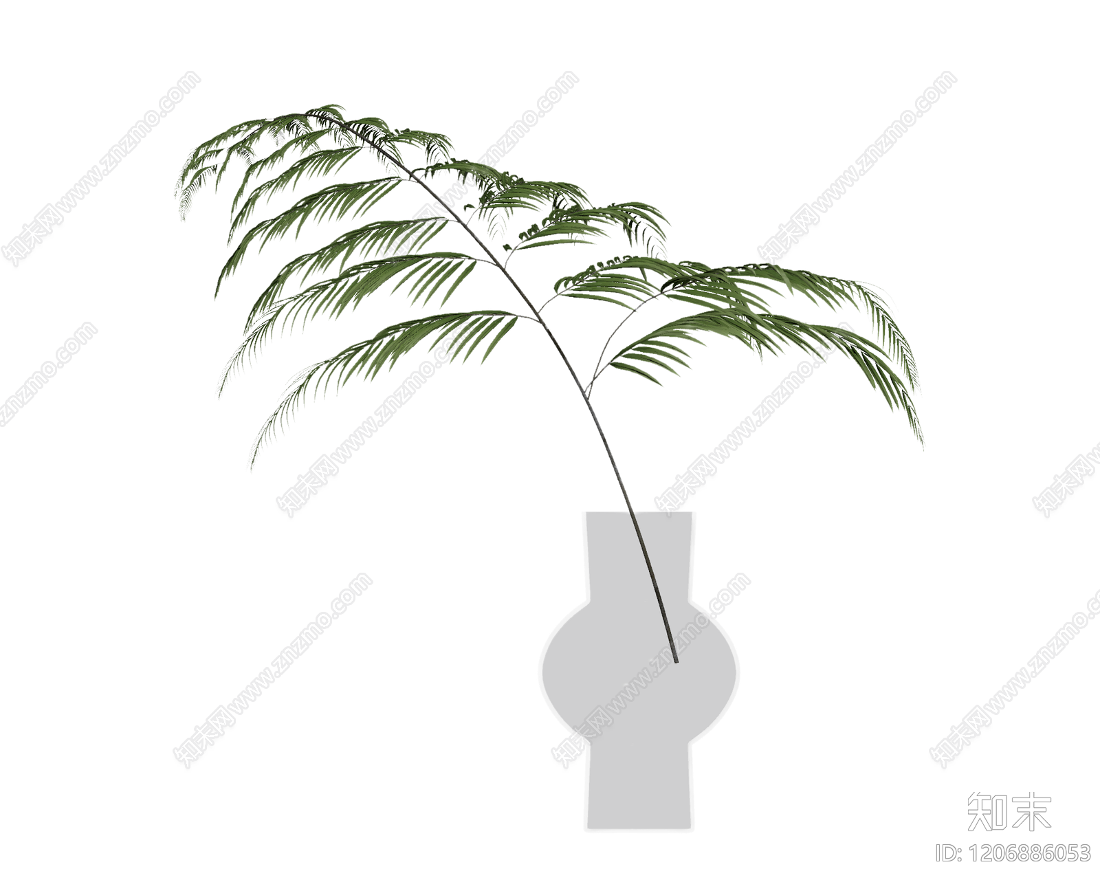 盆栽蕨类植物装饰3D模型下载【ID:1206886053】