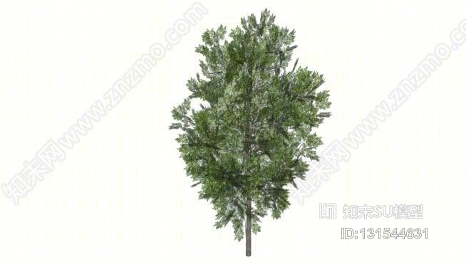 绿树SU模型下载【ID:131544631】