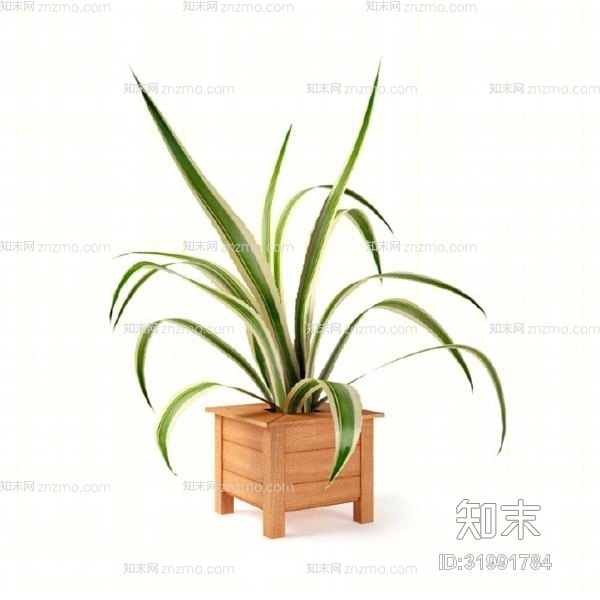 绿色盆栽3D模型下载【ID:31991784】