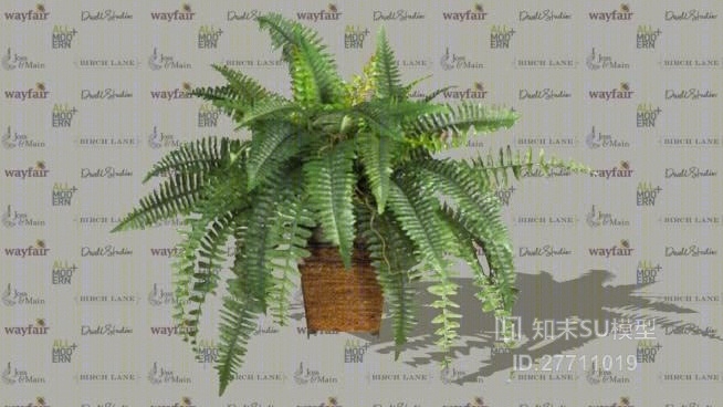 盆栽SU模型下载【ID:27711019】