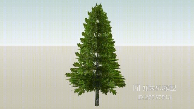 树SU模型下载【ID:27757513】