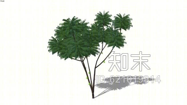 BelimbingSU模型下载【ID:621019914】