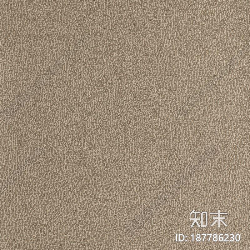 浅色皮革(11)贴图下载【ID:187786230】