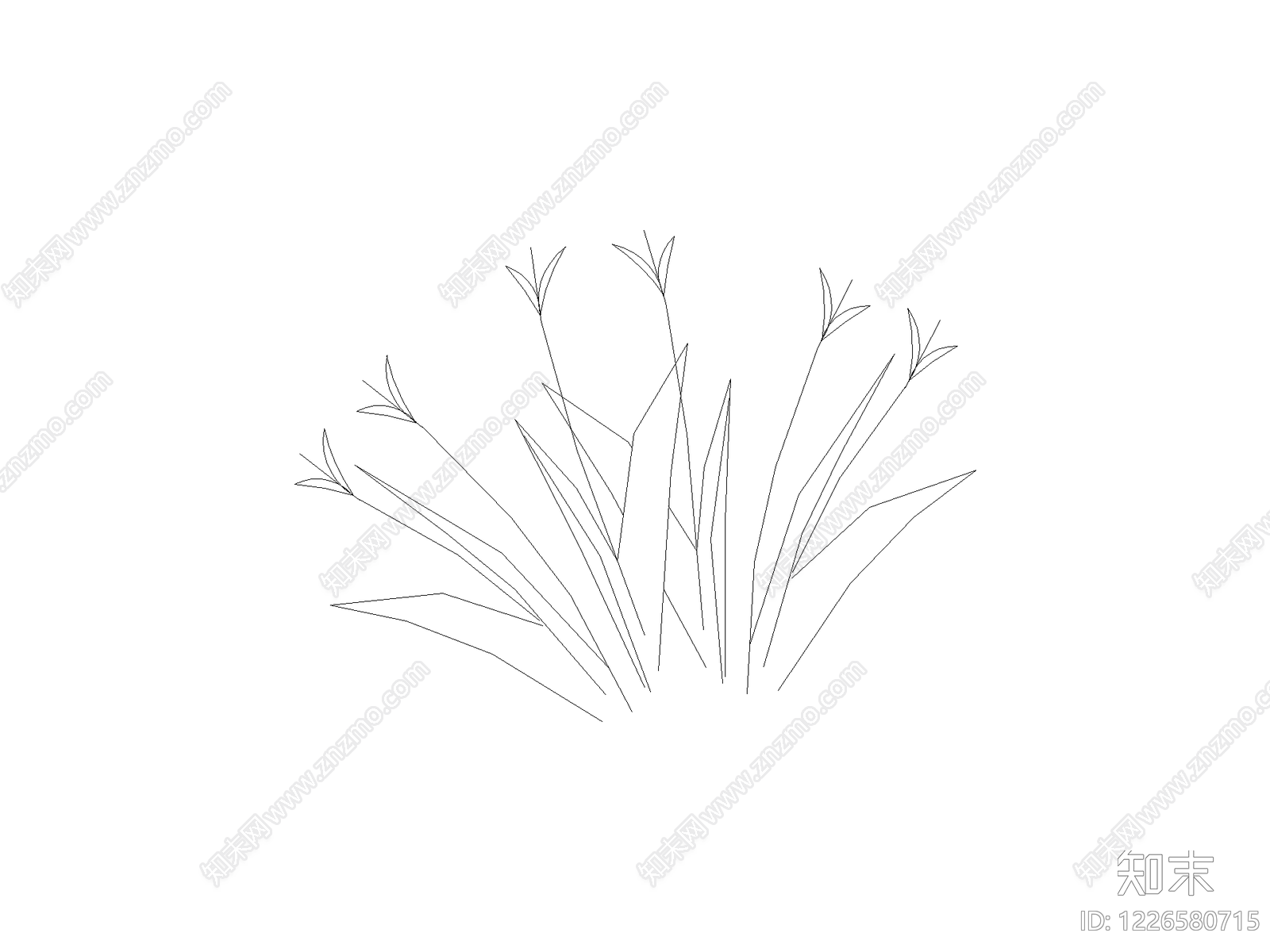 其他地被种植CAD图纸