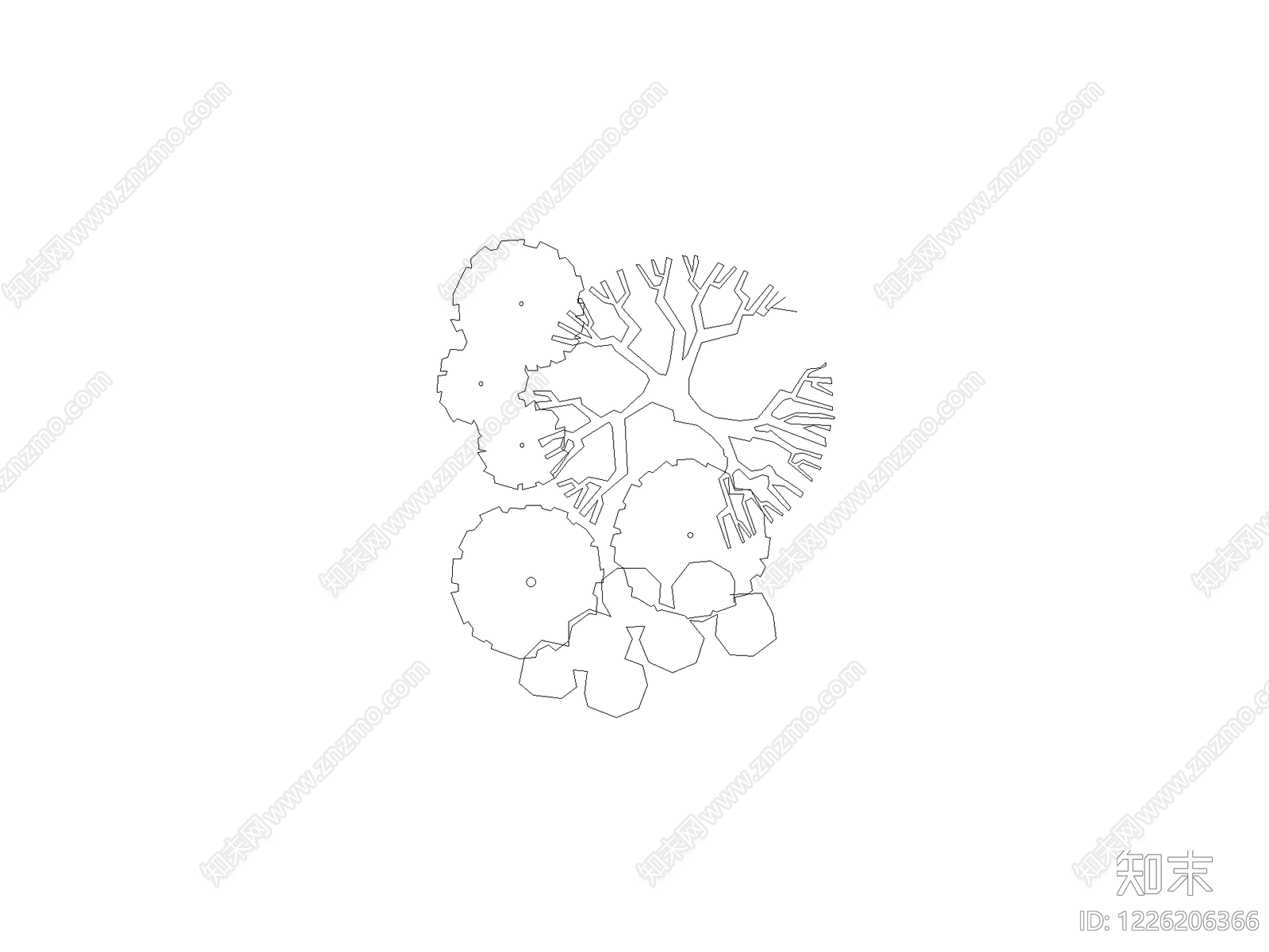 乔木种植CAD图纸