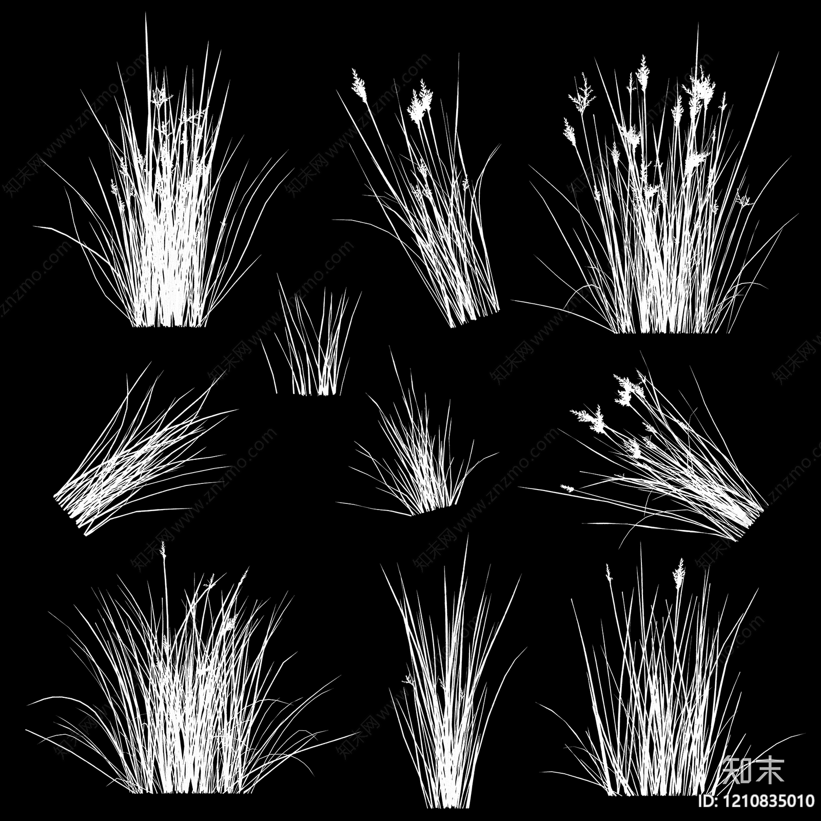 干枯植物纹理贴图下载【ID:1210835010】