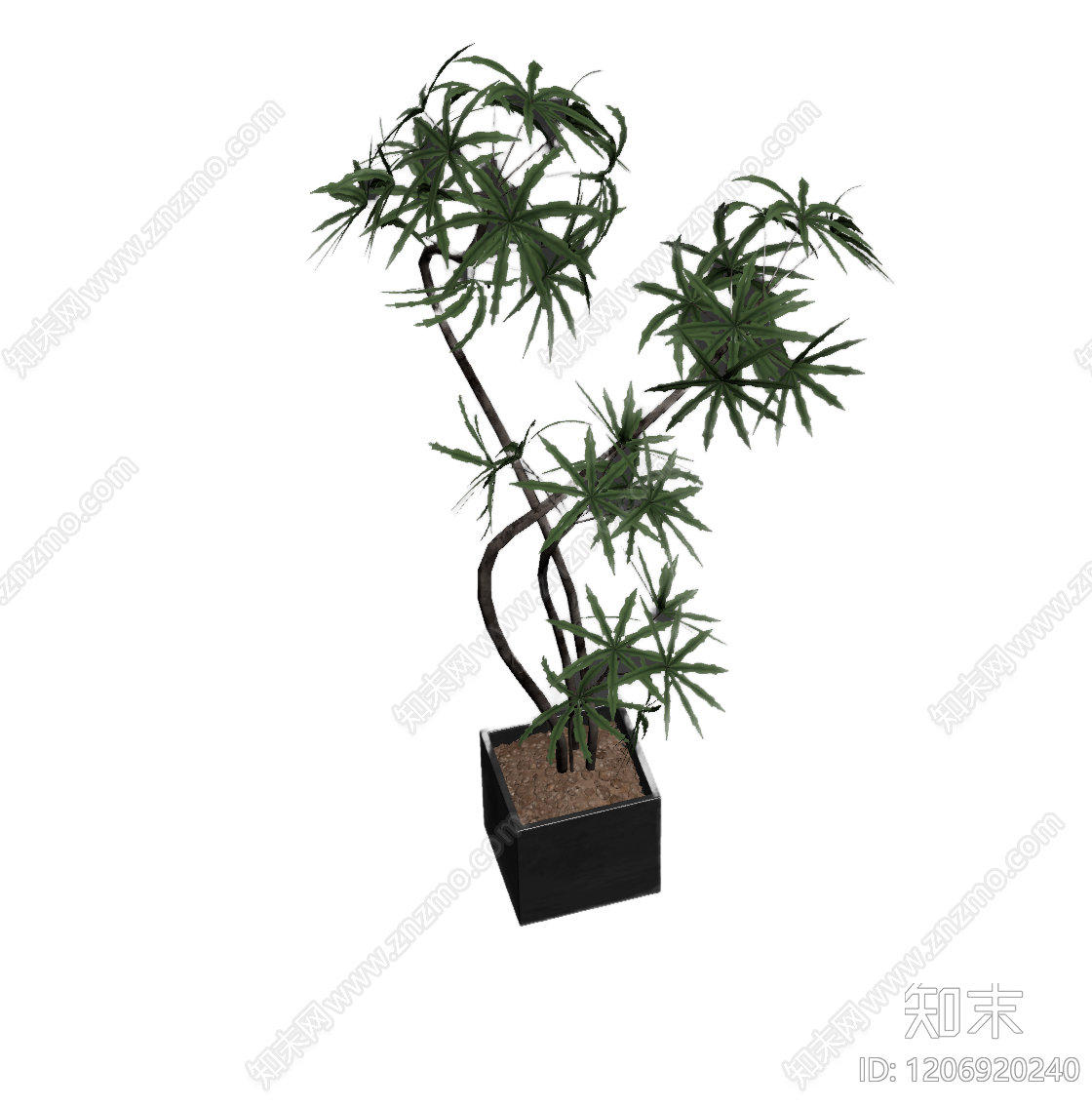 盆栽植物装饰3D模型下载【ID:1206920240】