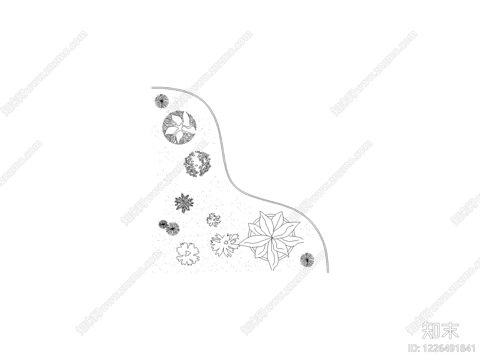 乔木种植CAD图纸