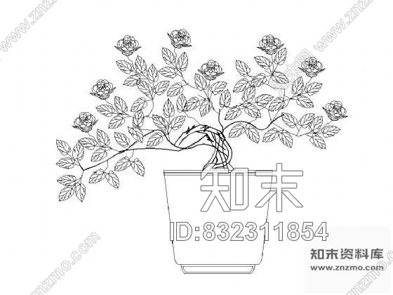 图块/节点盆景植物图块集cad施工图下载【ID:832311854】