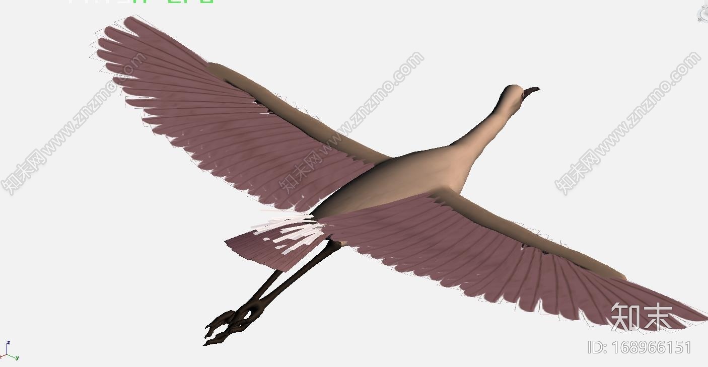 飞鸟(贴图)模型CG模型下载【ID:168966151】