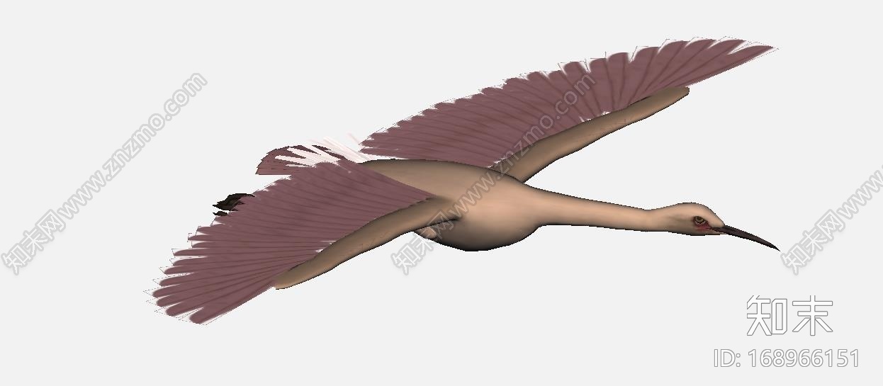 飞鸟(贴图)模型CG模型下载【ID:168966151】