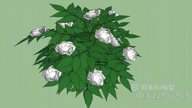 牡丹白SU模型下载【ID:622958989】