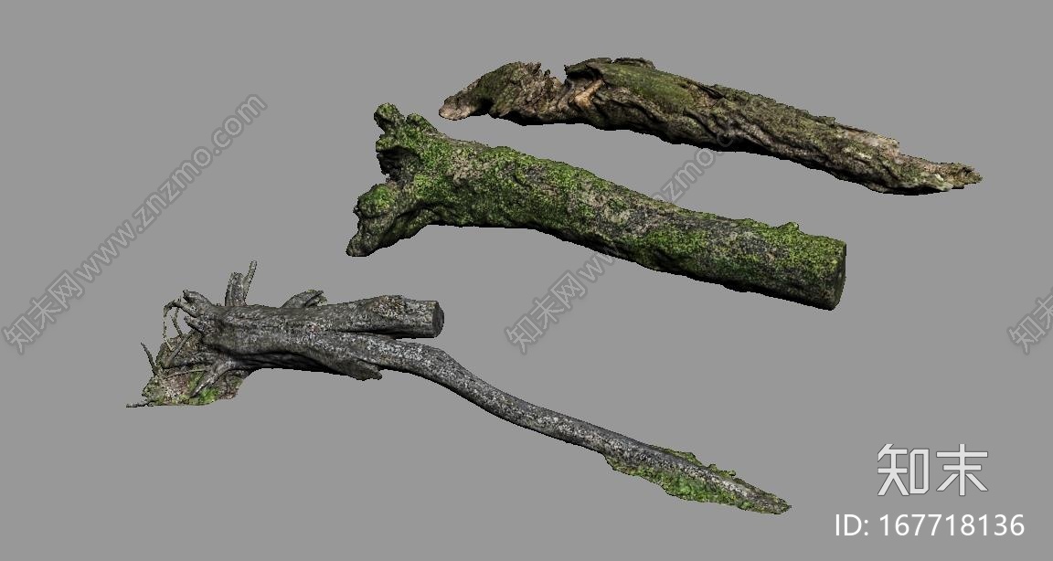 高精度植物，树木，森林，3D高模CG模型下载【ID:167718136】