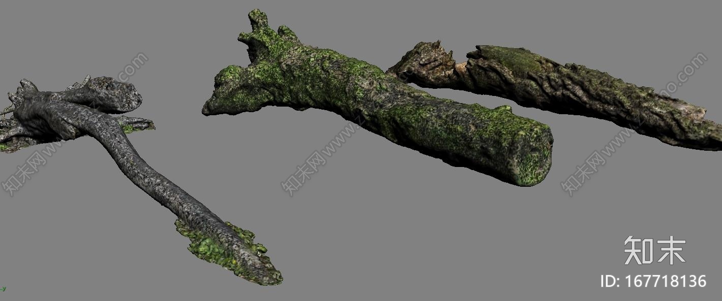 高精度植物，树木，森林，3D高模CG模型下载【ID:167718136】