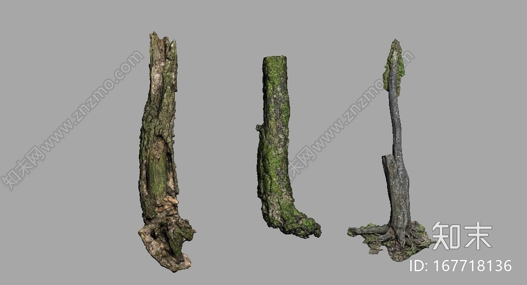 高精度植物，树木，森林，3D高模CG模型下载【ID:167718136】