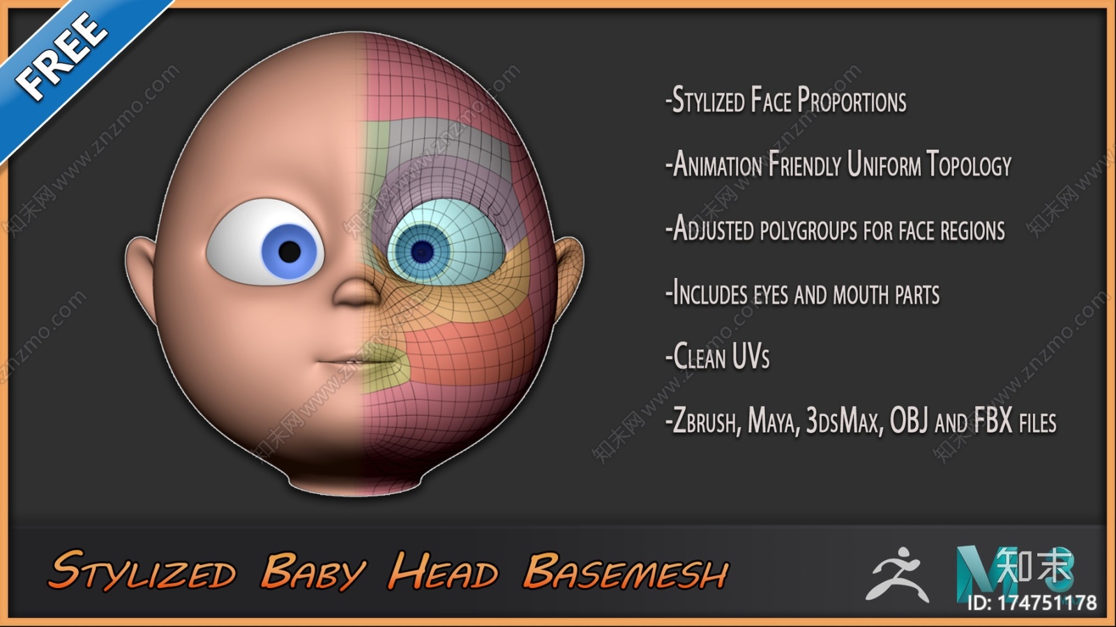 程式化的婴儿头BasemeshCG模型下载【ID:174751178】