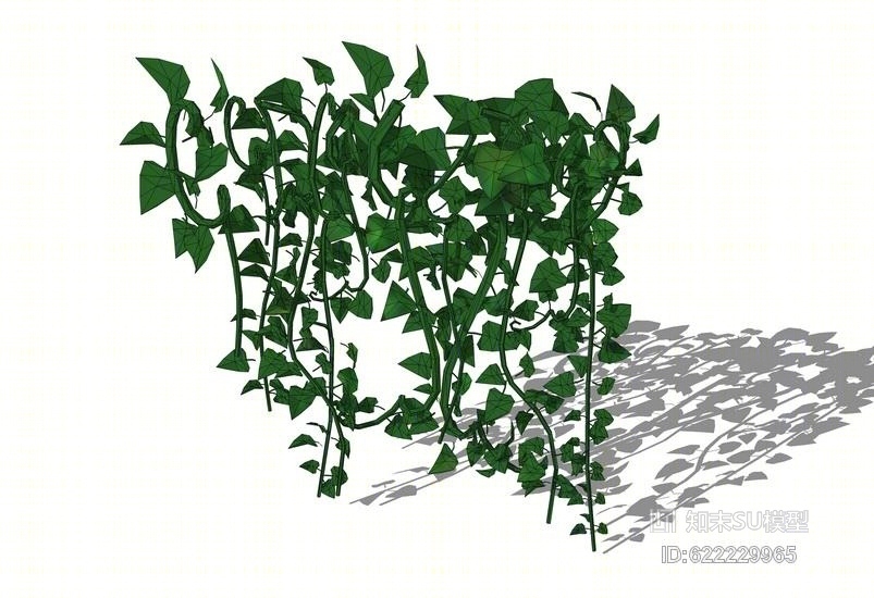 藤蔓爬墙植物SU模型下载【ID:622229965】