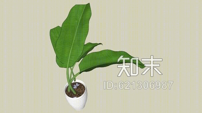 室内植物SU模型下载【ID:621306987】