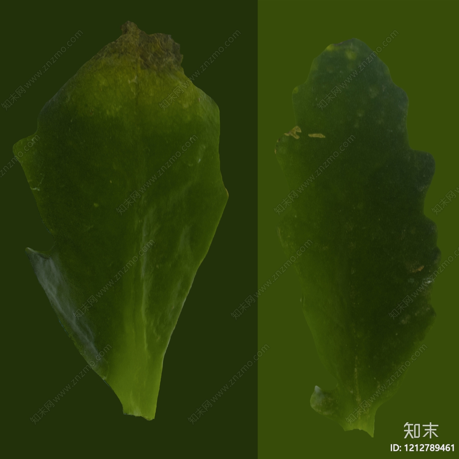 叶片纹理贴图下载【ID:1212789461】