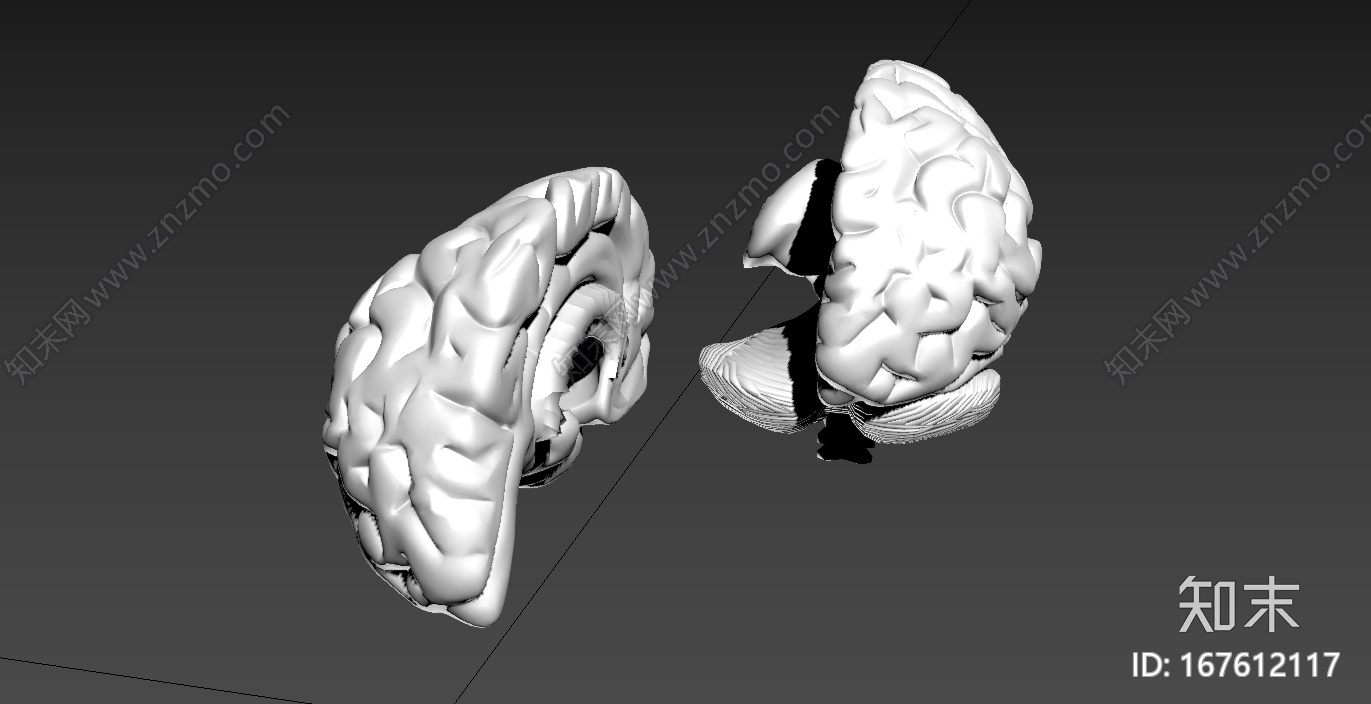 写实大脑器官CG模型下载【ID:167612117】