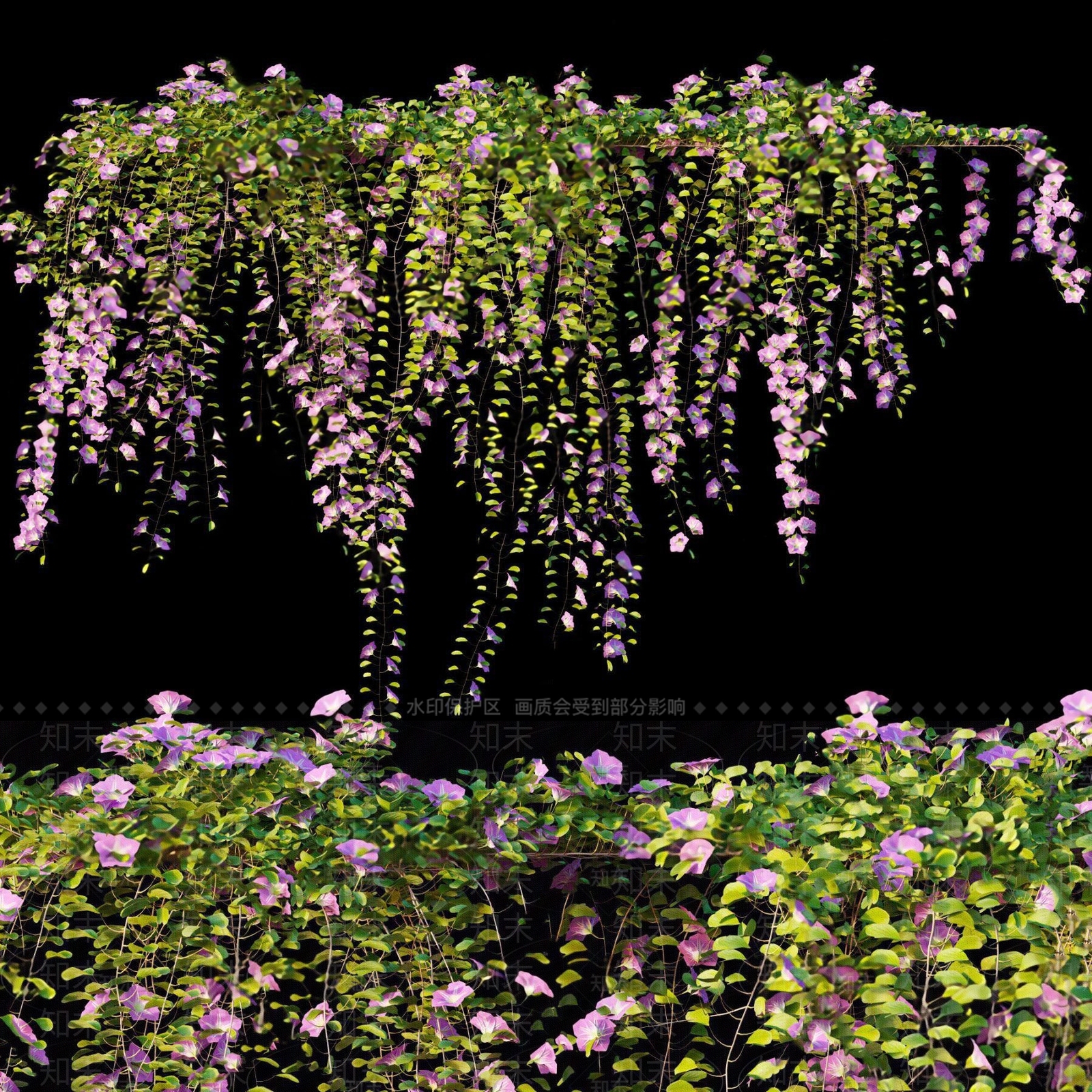 现代牵牛花藤蔓3D模型下载【ID:870718017】