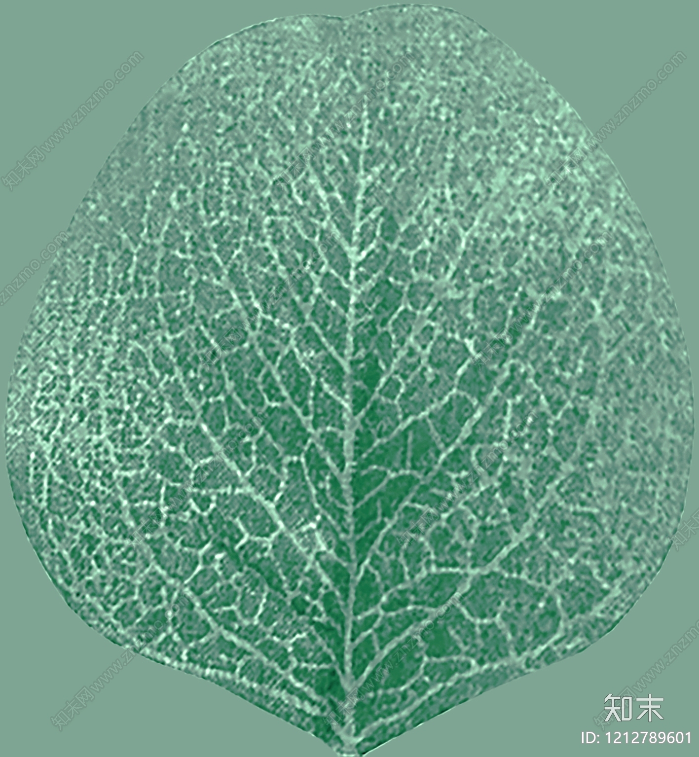 叶片纹理贴图下载【ID:1212789601】