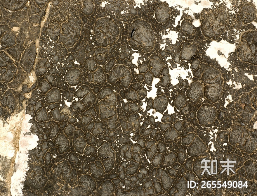 塑料橡胶贴图下载【ID:265549084】