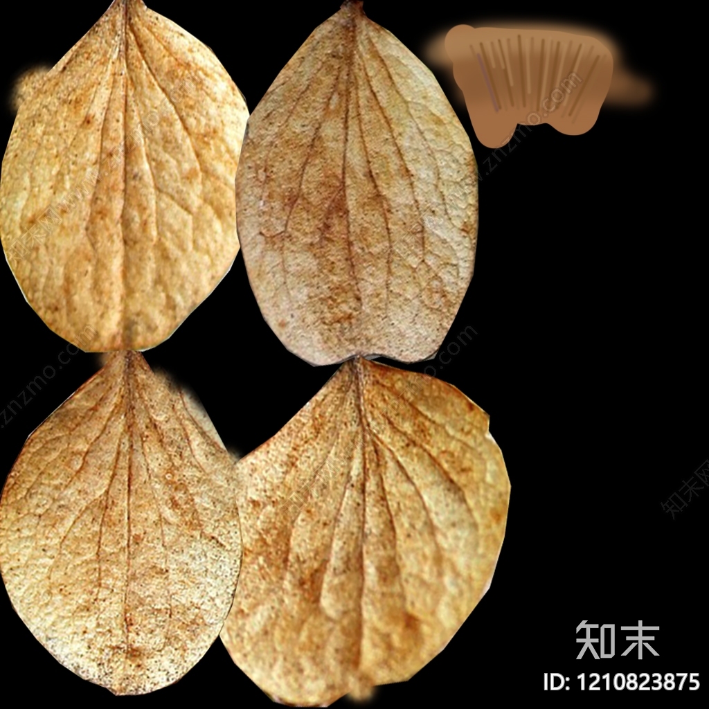 干枯植物纹理贴图下载【ID:1210823875】