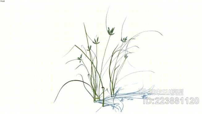 草，高聚合，VRY准备（137）SU模型下载【ID:223881120】