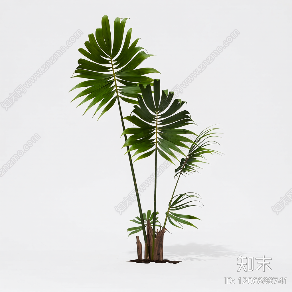 盆栽棕榈植物3D模型下载【ID:1206898741】