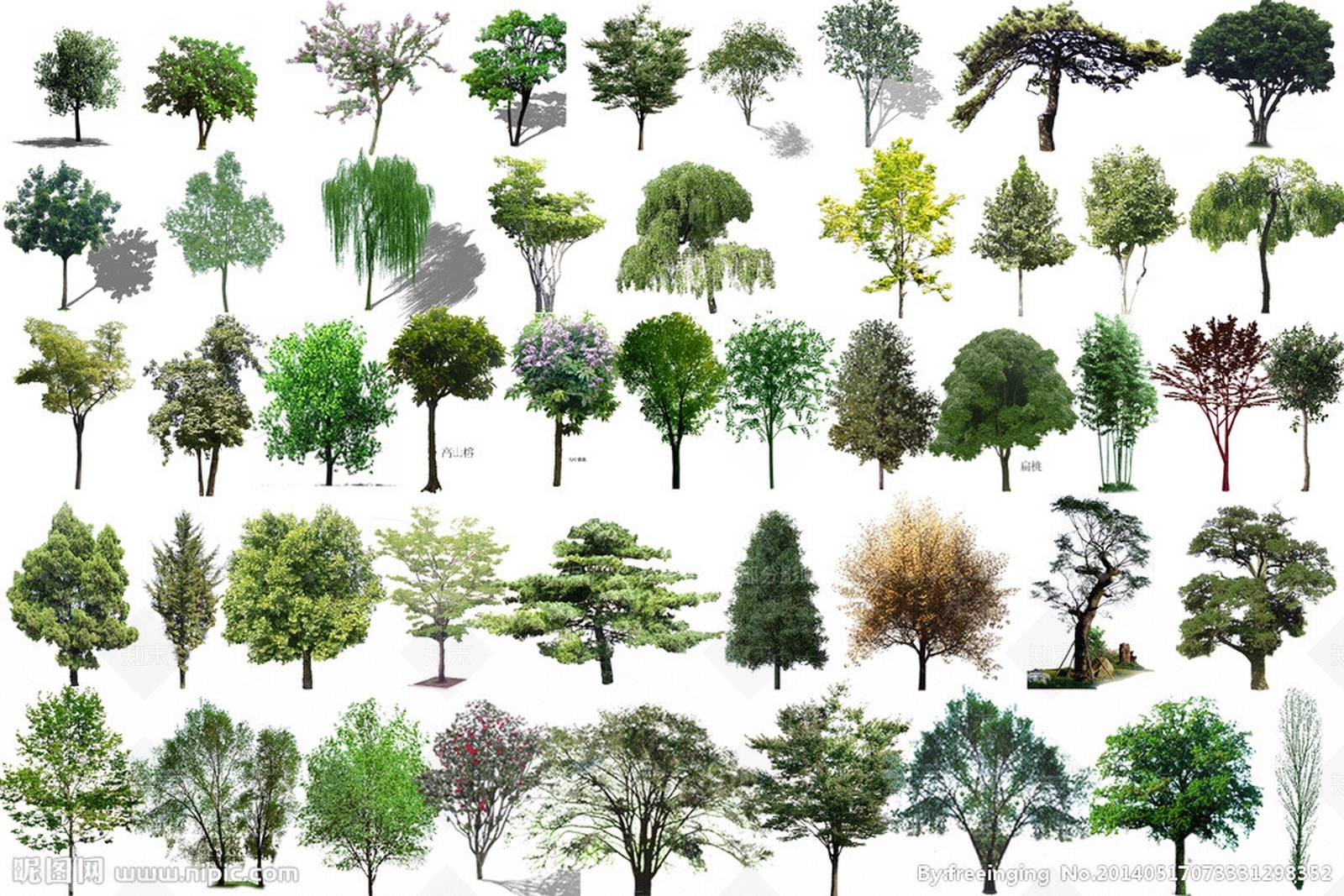 SU植物模型室外SU模型下载【ID:132980677】