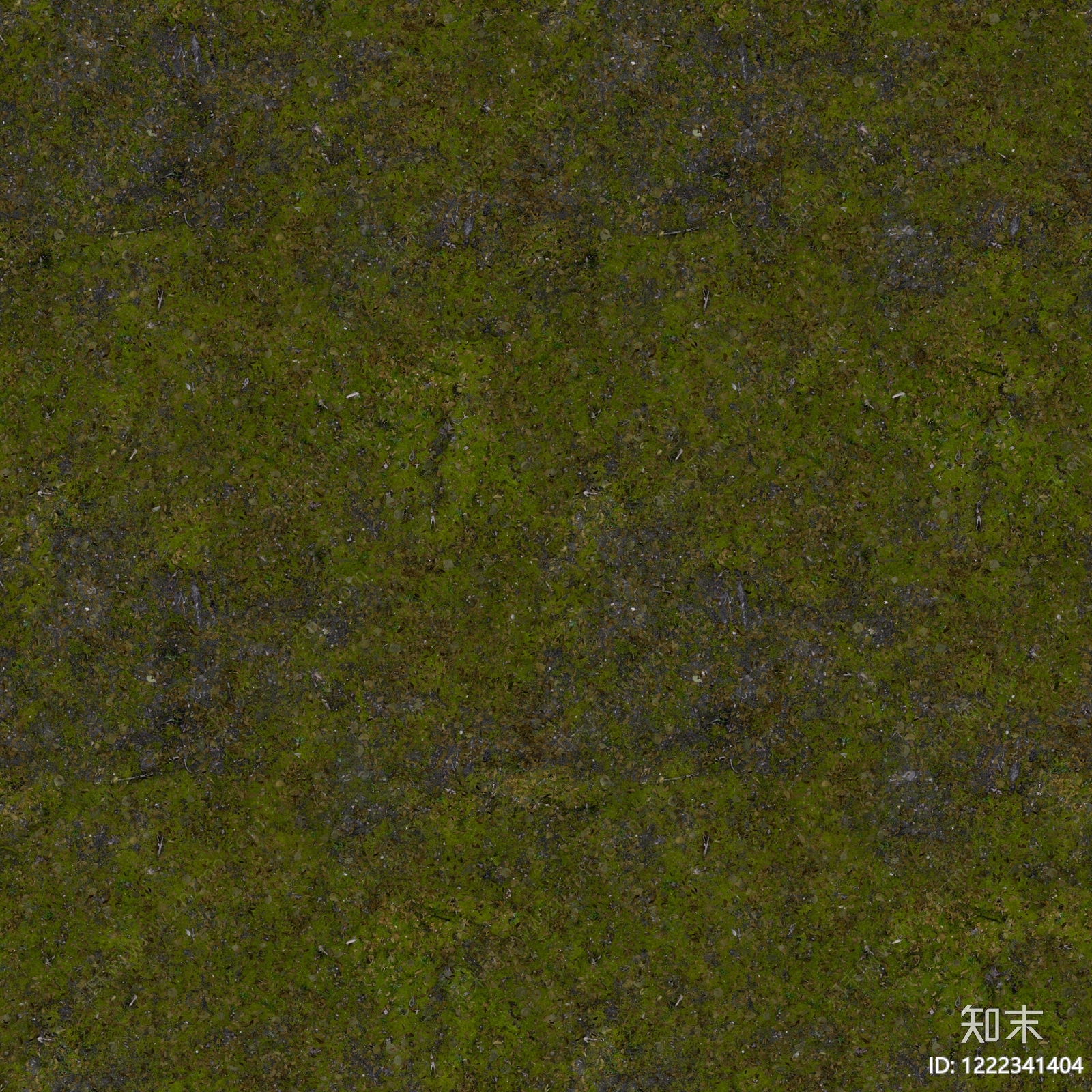 自然地面贴图下载【ID:1222341404】