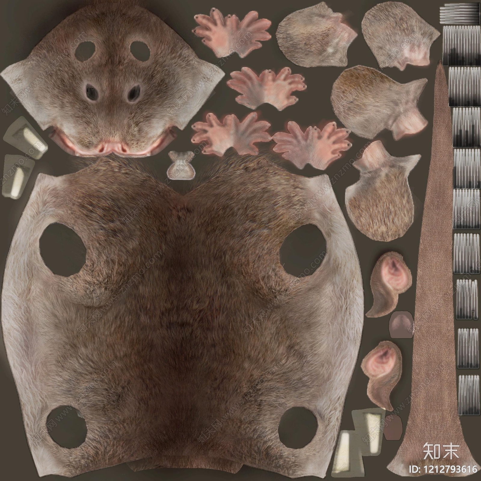 动物皮毛贴图下载【ID:1212793616】