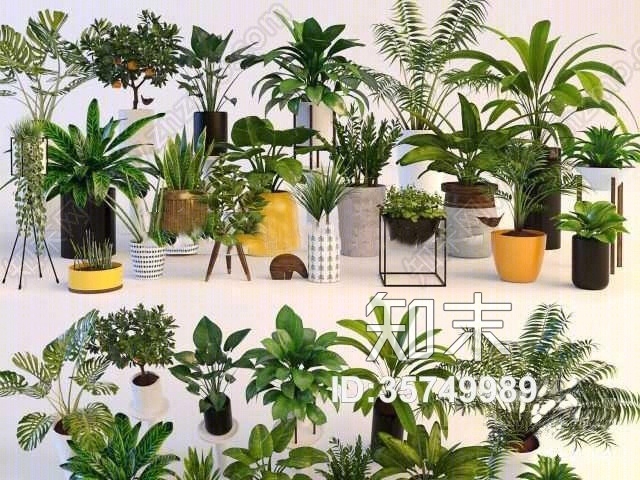 现代陶瓷绿植盆栽组合3D模型下载【ID:35749989】