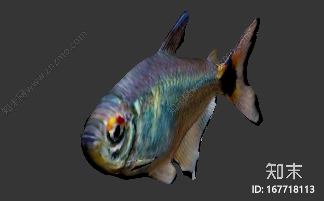 头尾灯鱼CG模型下载【ID:167718113】