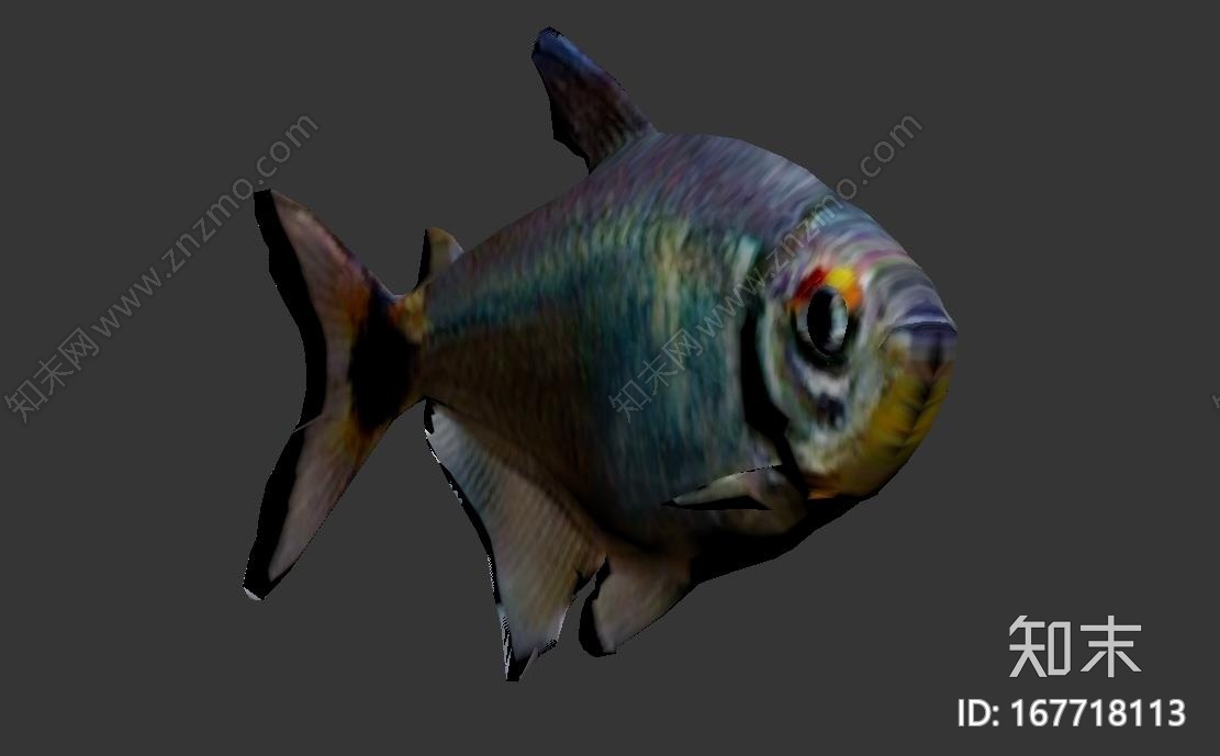 头尾灯鱼CG模型下载【ID:167718113】