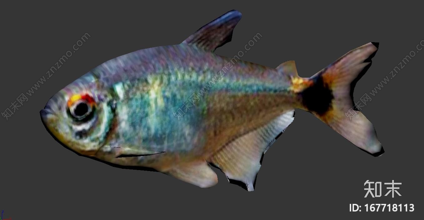 头尾灯鱼CG模型下载【ID:167718113】