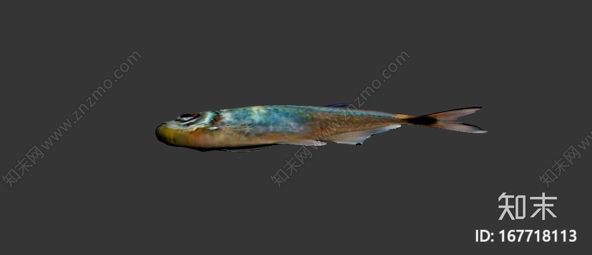 头尾灯鱼CG模型下载【ID:167718113】