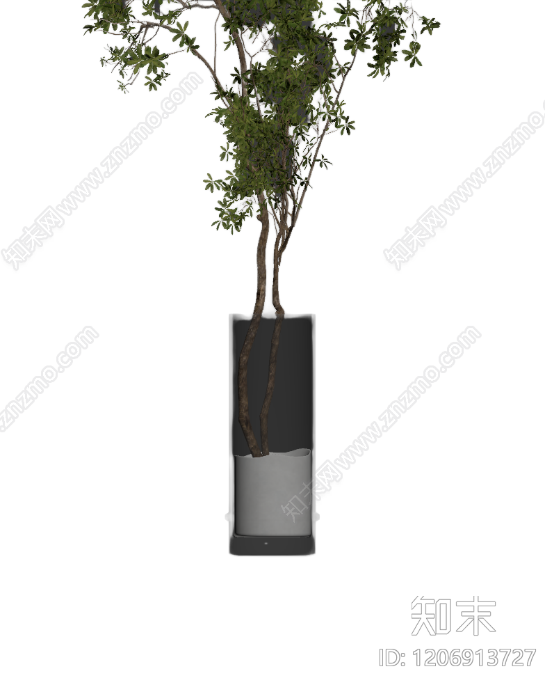 盆栽植物装饰3D模型下载【ID:1206913727】