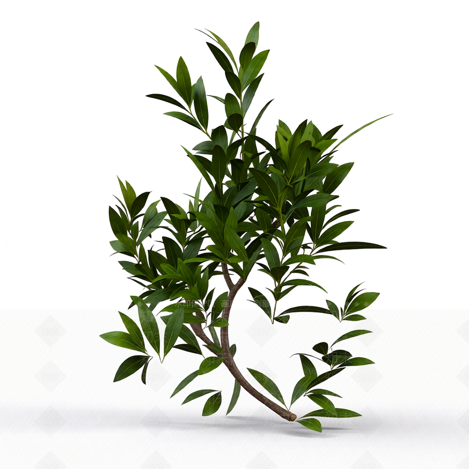 绿色植物模型3D模型下载【ID:1206192551】