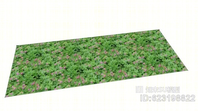 孵化模式——地被植物——春花老鹳草SU模型下载【ID:623198822】